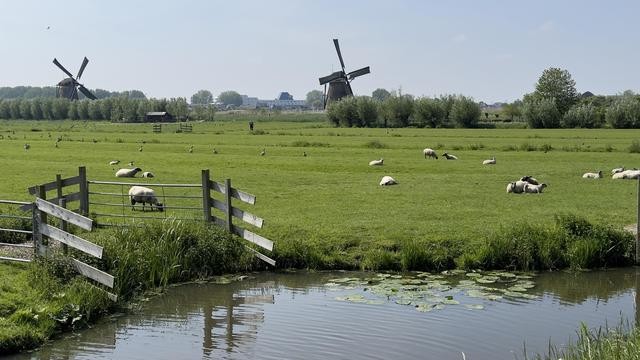 揭秘进口奶粉为什么受欢迎,了解选哪种好